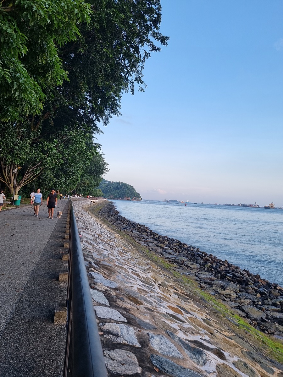 Đi dạo ở cung đường ven biển Labrador Nature Reserve