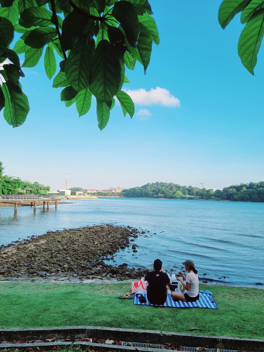 Địa điểm picnic lý tưởng