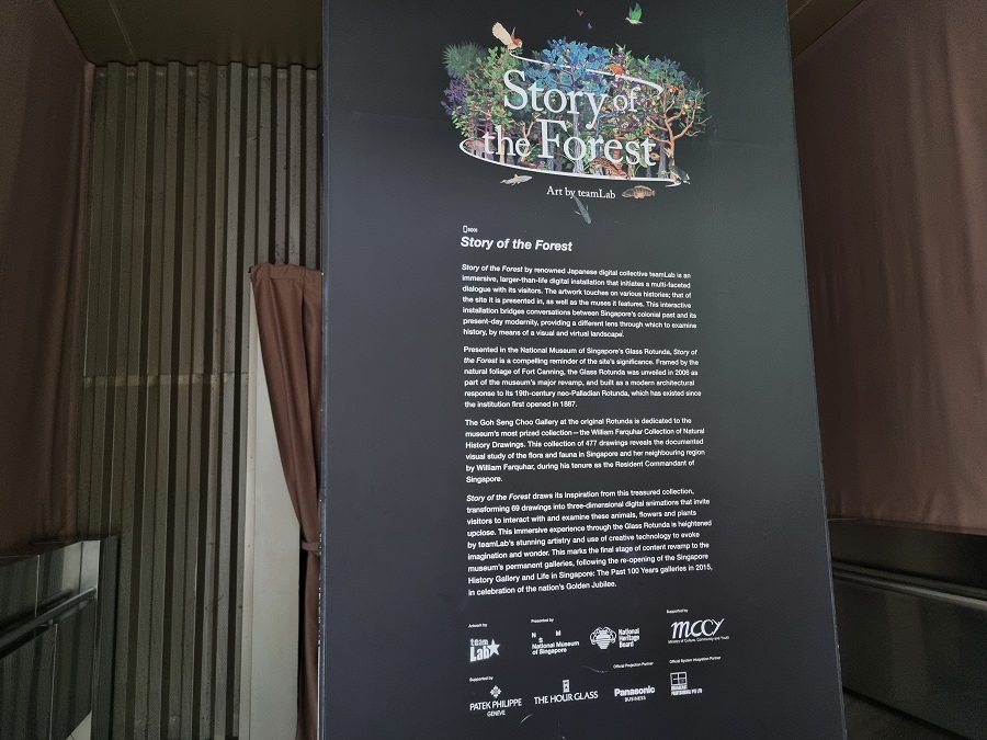 Story of the Forest