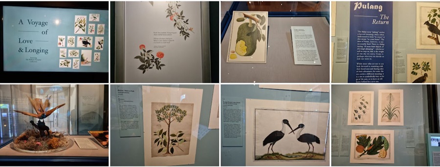  The Goh Seng Choo Gallery