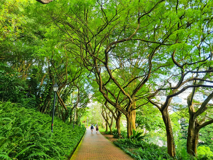 Công viên Fort Canning Singapore - Hãy dành hẳn 3 tiếng để khám phá
