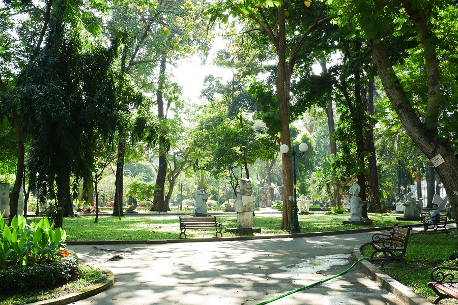 Cây xanh công viên Tao Đàn Saigon