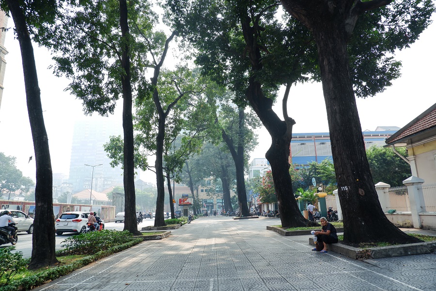 Cây xanh đường Đồng Khởi Sài Gòn