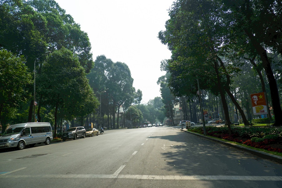 Cây xanh đường Lê Duẩn Sài Gòn