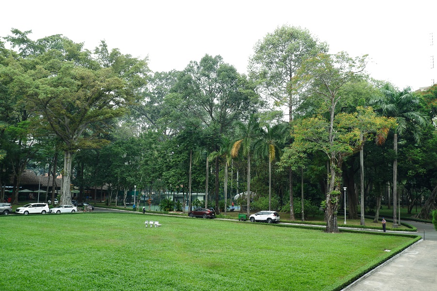 Cây xanh khuôn viên Dinh Độc Lập Sài Gòn