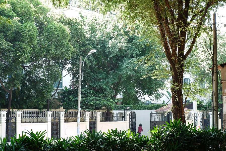 Hàng cây xanh Nguyễn Du-Trương Định Sài Gòn