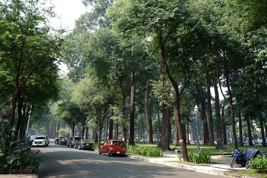 Hàng me đường Hàn Thuyên Sài Gòn