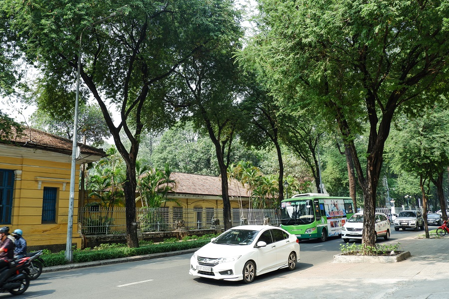 Hàng me đường Nam Kỳ Khởi Nghĩa Sài Gòn