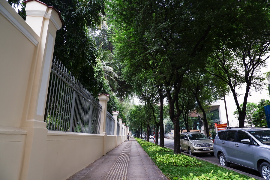 Hàng me xanh đường Nguyễn Du Sài Gòn