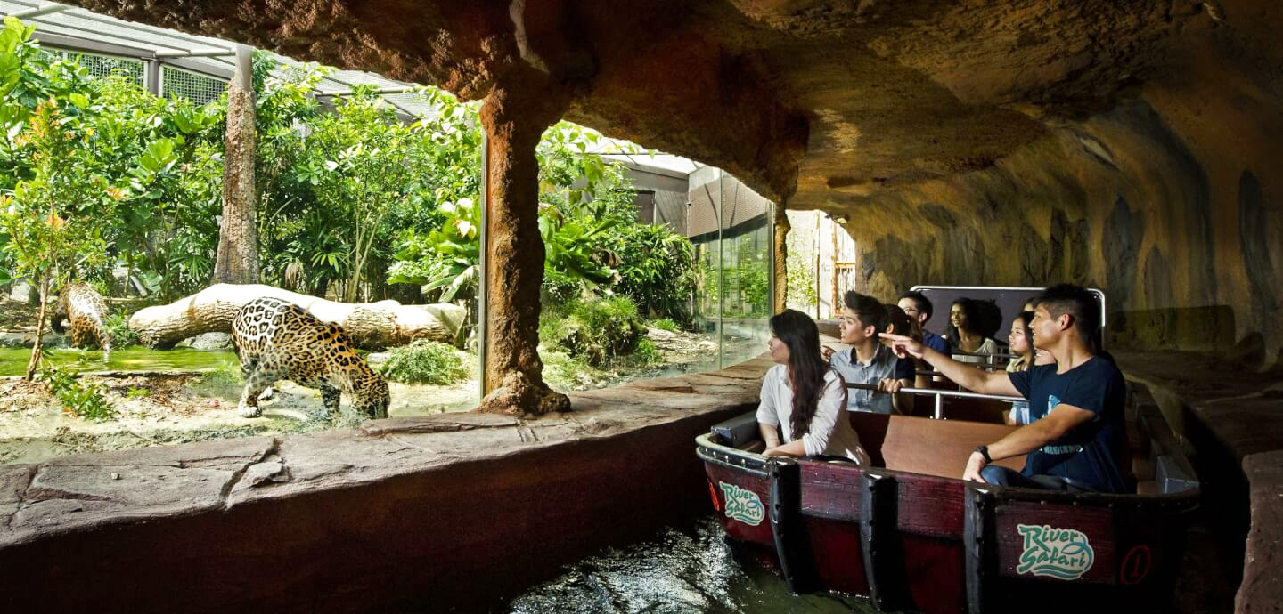 Vườn thú đêm Night Safari