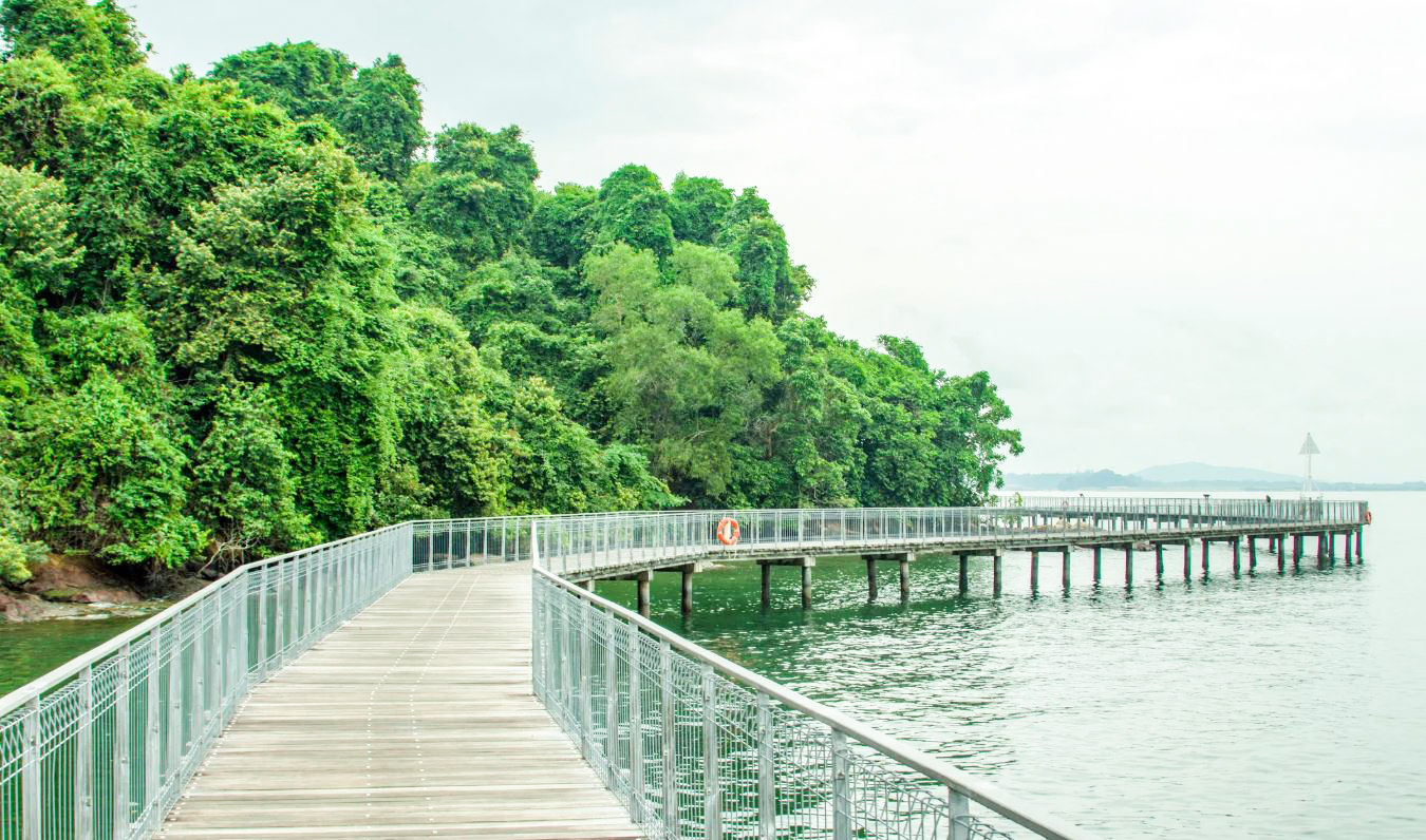 Đảo Pulau Ubin